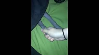 1 Hour of Perfect Fist Bump with a Dog