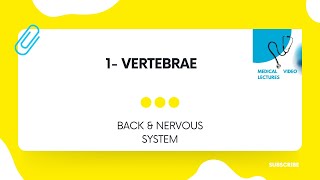 Vertebrae | CHAPTER#1- BACK & NERVOUS SYSTEM