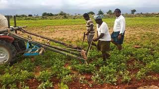 Tractor   కాటిగానికాలువ గ్రామంలో చిన్న బాలపెద్దన్న రైతు వ్యవసాయం(2)