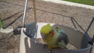 Mike enjoying a day at the park