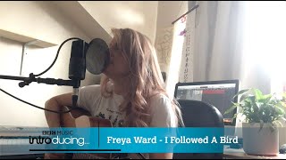 Freya Ward - I Followed A Bird (Live in session for BBC Music Introducing in the South West)