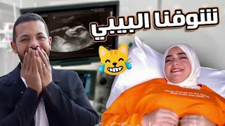 محمد حوارات والاء اعلنوا جنس المولود ياترا ولد ولا بنت 😍✌