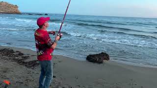 SURFCASTING EL DORADO DORADAS MUY MUY BUENAS Y OTRAS CAPTURAS