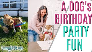 Hazel Turns ONE! A Dog's FIRST Birthday Party!