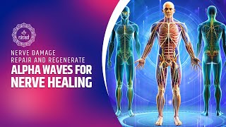 Alpha Waves for Nerve Healing: Repair and Regenerate | Nerve Damage Recovery and Tissue Regeneration