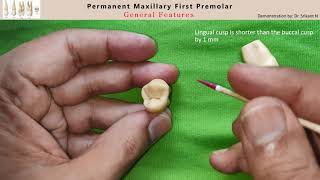 01  General features of Maxillary First Premolar