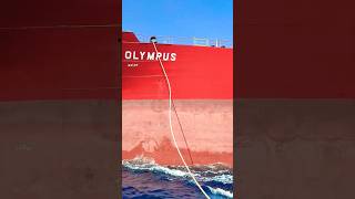 Secuences247 #video #sorts #big #blue #Tanker Olympus #🦈🔱