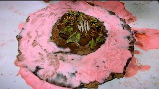 Hidden Treasures Discovered! Carpet Cleaning Satisfying ASMR Under a Delicious Chocolate Cake!