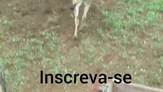 inscreva-se