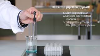 Pipettering - Pasteurpipett