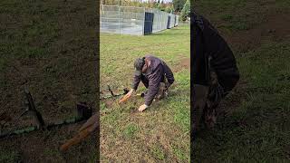 November 4, 2024 Metal Detecting