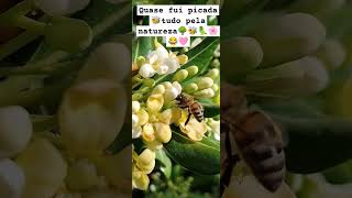 Foi por pouco 😂🌳🐝🐝🐝🌸🌸🌸🦜🦜🦜👍 #nature #flores