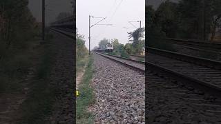 Why Loco pilot does not stops the train after seeing anything moving on it #amazingtrains