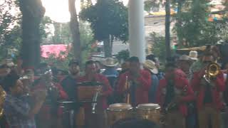 Banda Trancazo.      Flor De Piña.