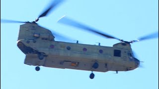 #OrlandoFlorida brought in Air support for a marathon 🤔 shot on #sonya7rv with 90mm macro. No zoom.