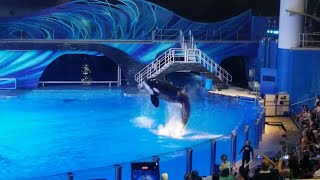 My SeaWorld Orlando Footage From July 2022