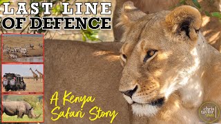 Travel documentary Kenya - Safari to Enonkishu Conservancy, Maasai Mara - The Last Line of Defence