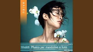 Concerto for Viola d'amore and Lute in D Minor, RV 540: II. Largo