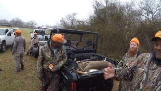 The Neighbor shot the Buck in front our deer dogs Deer hunting with hounds