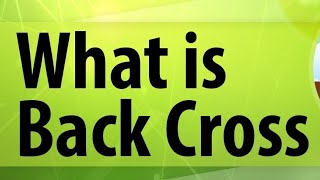 What is back cross and it's significance. Difference between back and test cross #Genetics notes BS