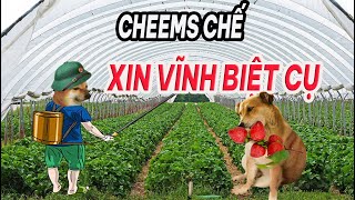 MỘT CHUYẾN THĂM QUÊ