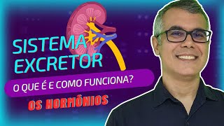 SISTEMA EXCRETOR - HORMÔNIOS E REGULAÇÃO / Prof. Baraúna