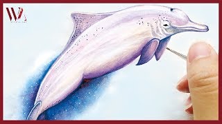 How to Paint a Dolphin- Watercolor Painting Ideas for Beginners- Windy Shih