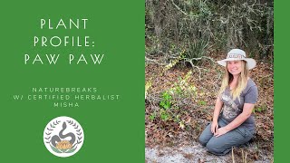 Plant Profile: Paw Paw; edible native Florida plant and herbal medicine