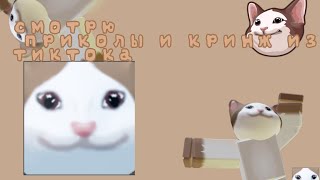 😺СМОТРЮ ПРИКОЛЫ И КРИНЖ ИЗ ТИКТОКА!😺