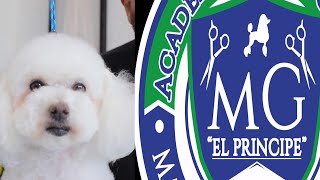 ACADEMIA MG puebla 2021 Manuel Gutiérrez El Príncipe