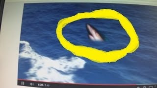 Are Megalodons Real? (Youtube Video Analyzed)