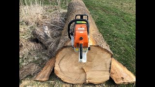 Stihl MS880 chainsaw video : Trimming a massive oak log