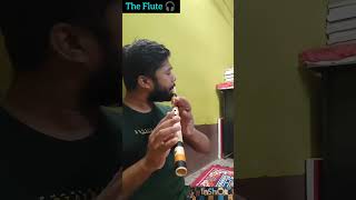 Tu Hoga Zara Pagal||Flute Version