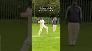 Cricket shots - 6 over point! #cricket #batting