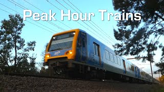 Peak Hour Trains at Mooroolbark 2