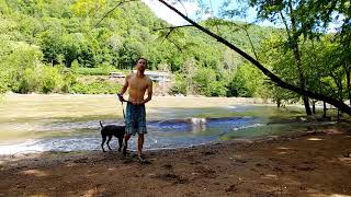 Road Trip and Car Camping with My Dog - Episode 8 - New River Gorge