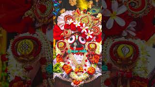 Jagannath Status 🌿🌹|| Jay Jagannath Status 🙏🌹|| Jagannath Bhajan Status 🌸🌹|| Jagannath Status Video