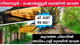 കുറഞ്ഞ ചിലവിൽ അടിപൊളി ട്രെയിൻ യാത്ര| Nilambur to Shoranur train journey