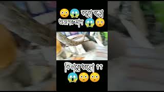 কতো বড়ো অজগর 😱😳#shorts #short #ytshorts #youtubeshorts