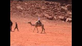 Giordania. Petra e Wadi Rum