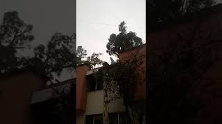 viento huracanado en Tultepec.(2)