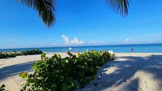 Welcome to the Gulf of Mexico-View of Southwest Florida beach #floridabeaches #gulfofmexico #nature