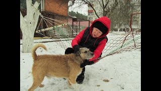 Гамак из пластика