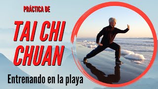 Entrenamiento de Tai Chi Chuan y Chi Kung en la playa