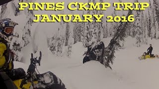 Doos vs Trees! Pines CKMP Sled Trip Nipawin Melfort January 2016