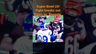 Super Bowl LVI Fight Breaks Out Rams vs. Bengals 🏈