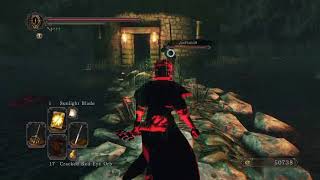 DARK SOULS™ II - Just close the door