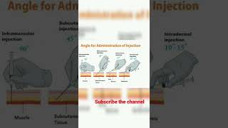 Routes of drug administration #nursing #ytshorts