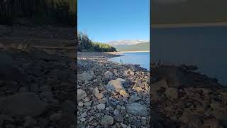 trout fishing in rocky mountains.(colorado)