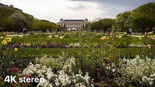 Walking in Paris – Jardin des Plantes (4K, Stereo Sounds)